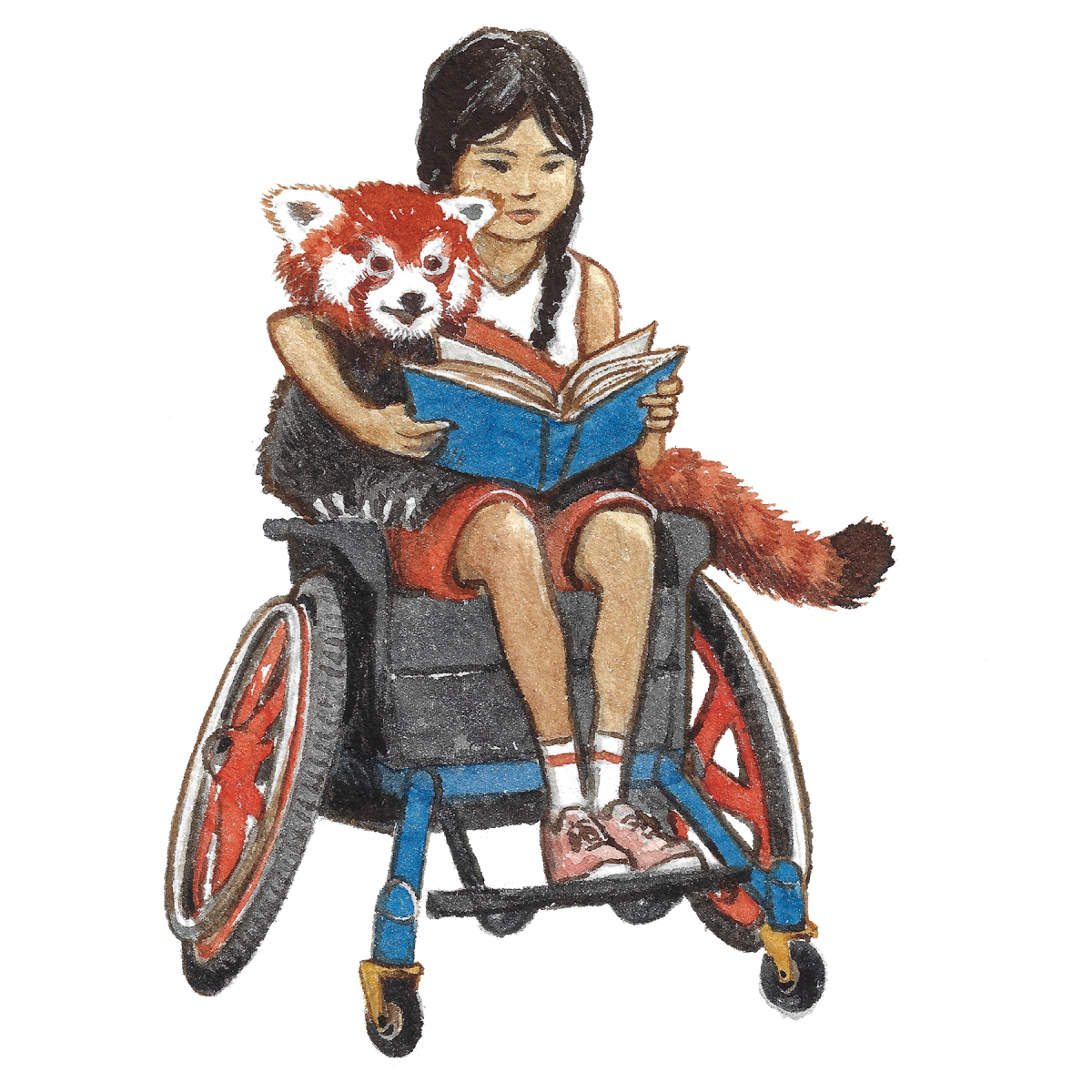 Girl Reading in Wheelchair with Red Panda
